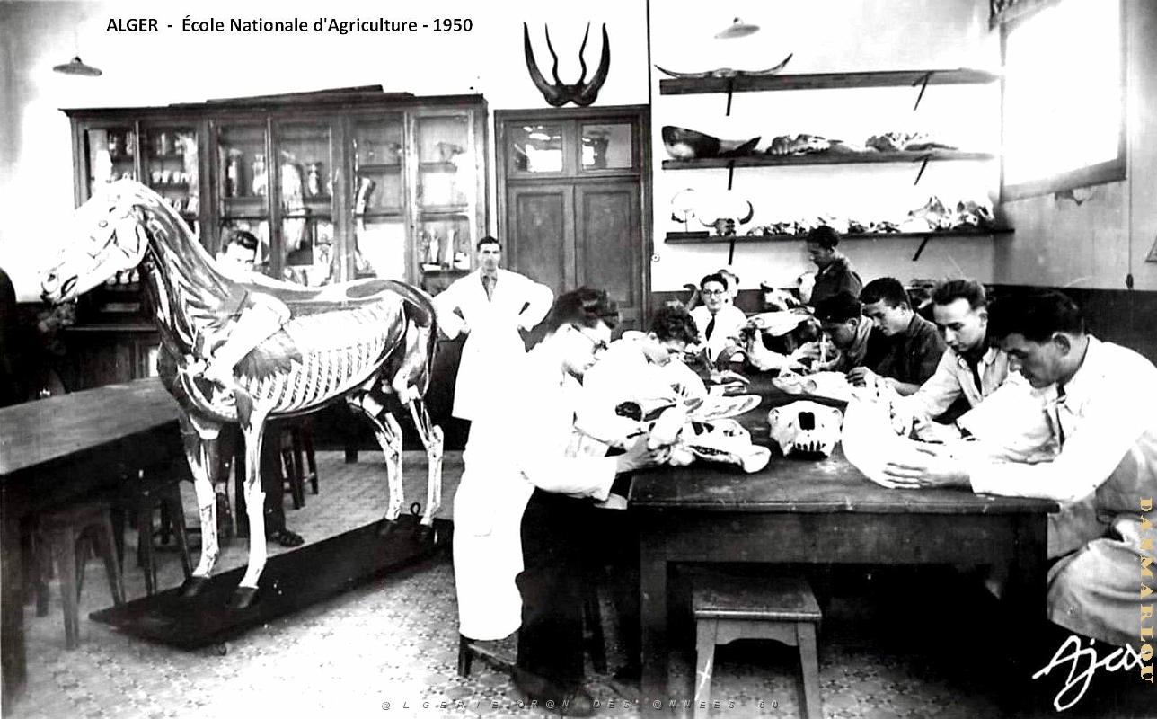 Alger - Ecole Nationale d'Agriculture - 1950.jpg